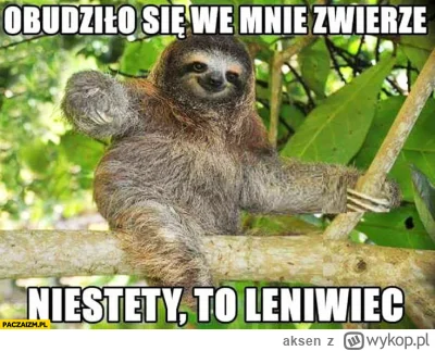 aksen - #przegryw 

Z ankiety https://wykop.pl/wpis/72547801/przegryw wynika, że 

 -...