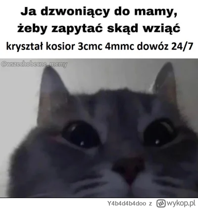 Y4b4d4b4doo - #narkotykizawszespoko #heheszki