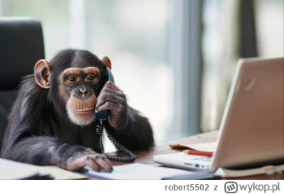 robert5502 - Zakończył się trzyletni eksperyment - szympans doradcą prezydenta RP 
Po...