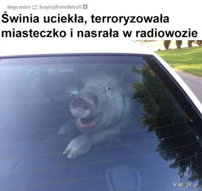 d.....a - #memy 
#heheszki
#humorobrazkowy