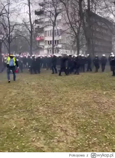 Pokojowa - Warszawa: policja stosuje ostre środki wobec protestujących

Sytuacja w Wa...