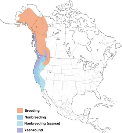Lifelike - Zasięg występowania: