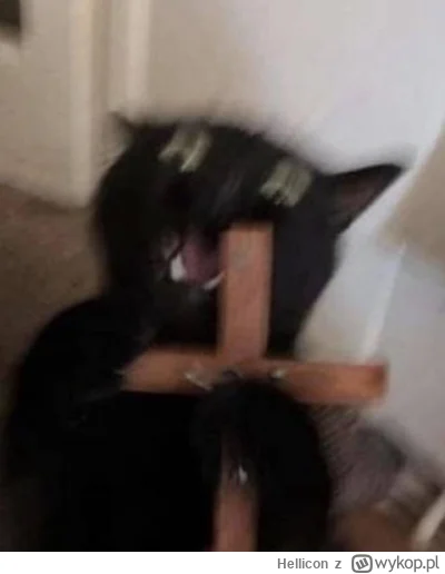 Hellicon - @pszczulkapl