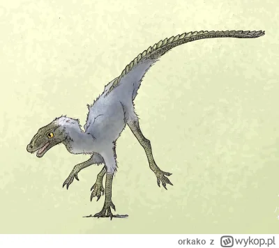 orkako - Hej, mogę napisać trochę o przodkach krokodyli, którzy byli stałocieplni i o...