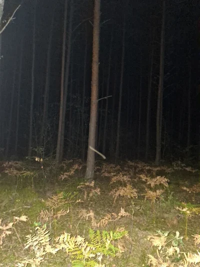 Gontyn- - ciemno coraz wcześniej
#przegryw #spierdotrip