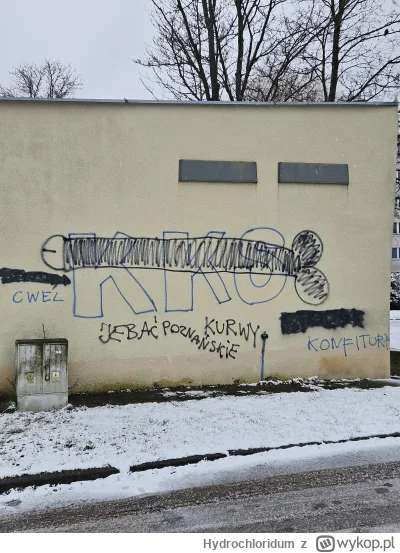 Hydrochloridum - @officer_K też ostatnio widziałem patriotyczny mural