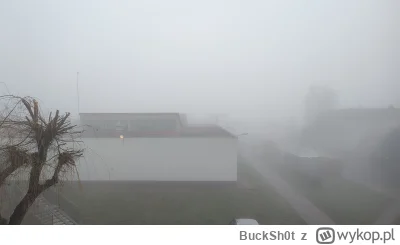 BuckSh0t - @El-dzej: problemem są nie tylko ci, co palą śmieci. Dym z węgla też truje...