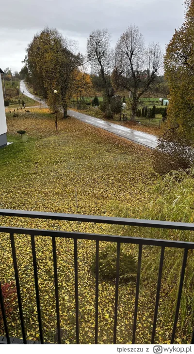 tpleszczu - #jesien 
Prawie wszystko spadło więc #z-------------j