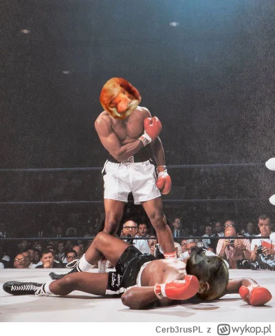 Cerb3rusPL - #konkursnanajbardziejgownianymemznosaczem I bez napisów, idealne na plak...