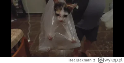 RealBakman - Mumin kota przywiózł jak worek ziemniaków xD

#raportzpanstwasrodka