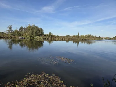 SzycheU - #spierdotrip