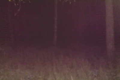 psycha - pamiętam najradośniej chwile, w których mnie nie było