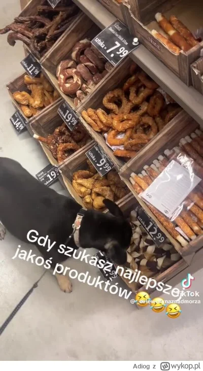 Adiog - Ma ktoś ochotę na bułeczkę ze śliną pieska?
#bekazpodludzi
#p0lka
#psiarze