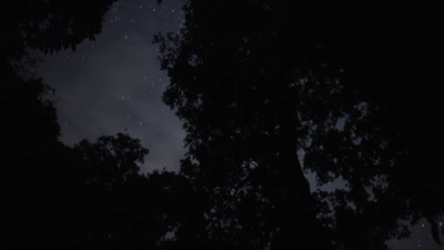 senselessness - Macie otwarte okna? Czujecie te podrywy zimnego, wiosennego wiatru po...