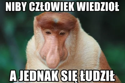 JustKebab - #wislakrakow