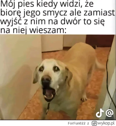 ForFun022 - #heheszki