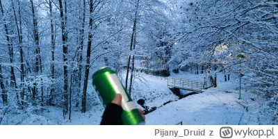 Pijany_Druid - #przegryw Pierwszy śnieg ❤️