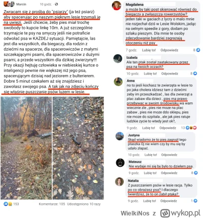 WielkiNos - Od lat apeluje się o trzymanie psów na smyczy w lesie. Mężczyzna po raz k...