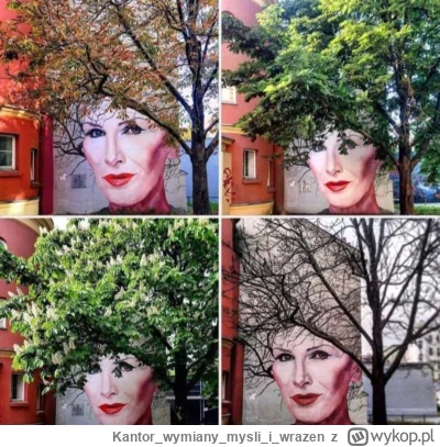 Kantorwymianymysliiwrazen - (ʘ‿ʘ)
#maanam #kora #mural #drzewa 
 #nieboperfekcjonisto...