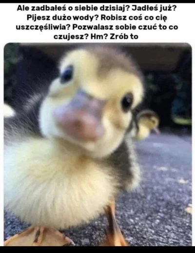 ilv2 - Jak tam u Was, #wygryw czy #przegryw?