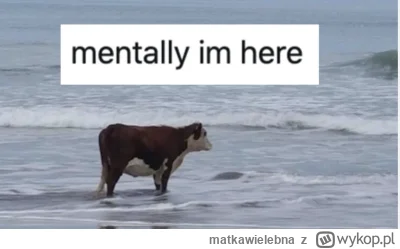 matkawielebna - #rolnikszukazony Roland