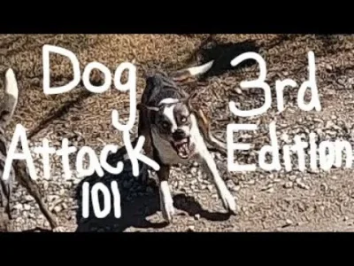 QoTheGreat - @czahrolek98: łap więcej materiału do analizy.