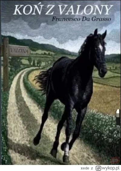 xede - @Abadulahoson: