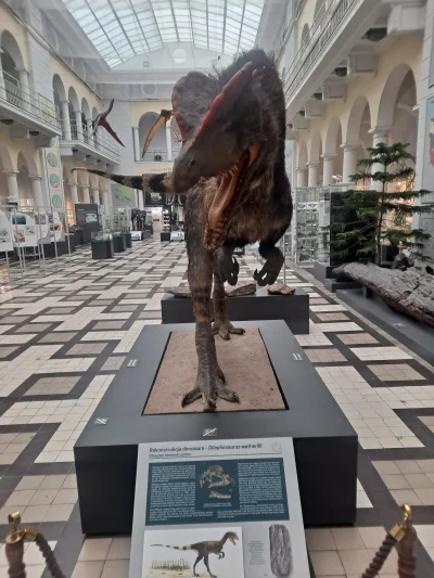 entelodon192cm - @Infirmusest Chyba nie bo nie przypominam sobie. Albo przeoczyłem ek...