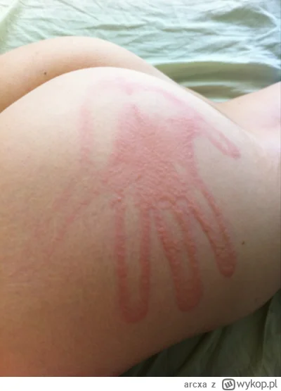 arcxa - @Mirek224: ja już wiem co wy chcą p0lczyska