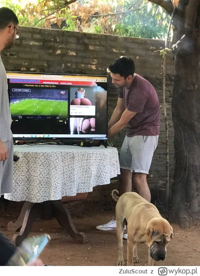 ZuluScout - #mecz #heheszki Tagowicze w każdym dniu meczowym oglądając w jedyny prawi...