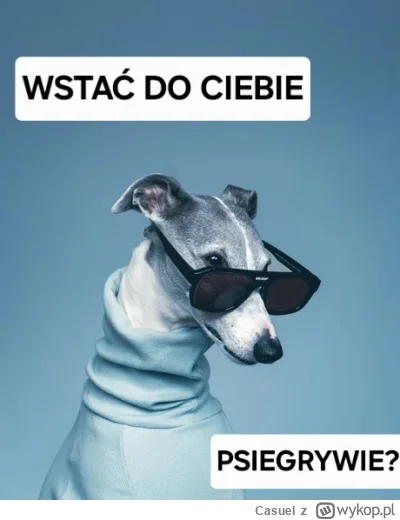 Casuel - @czemu_dlaczego: