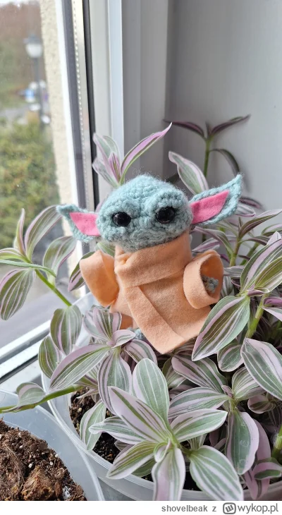 shovelbeak - Wygląda jakby miał pomiędzy 1 a 50 lat ( ͡° ͜ʖ ͡°)
#szydelkowanie #rekod...