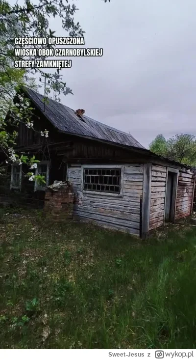 Sweet-Jesus - Na pograniczu Czarnobylskiej Strefy Zamkniętej znajduje się wiele wiose...