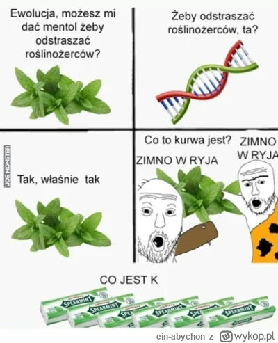 ein-abychon - Lubię miete, najlepiej tą ostrą odmianę