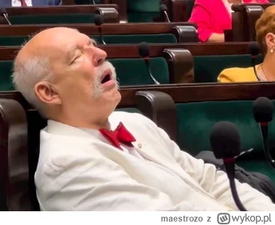 maestrozo - #kanalzero