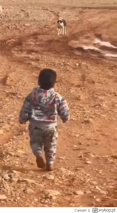 Casuel - @serwis-dzwieku: @EditorTM idzie wyjasnic psiarza