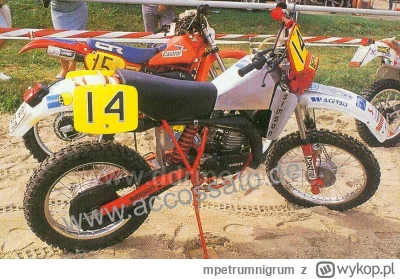 mpetrumnigrum - >Niezle kurde ale wyglada jakby przedluzenie stingera nie wynikalo z ...