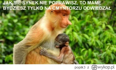 popik3 - #humorobrazkowy #heheszki #wszystkichswietych