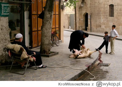 KrolWlosowzNosa - Będę tu wrzucał co jakiś czas co ciekawsze zdjęcia z moich podróży....