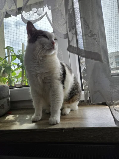 Solsith - @jPaolo2: czasem się uśmiecha ale rzadko( ͡° ͜ʖ ͡°)