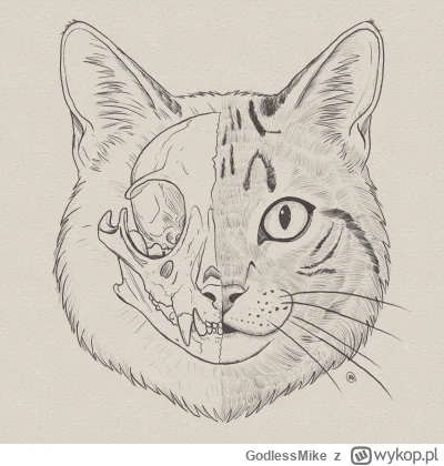 GodlessMike - Studium kota (｡◕‿‿◕｡)
Wstałem godzinę przed budzikiem więc być czas zac...