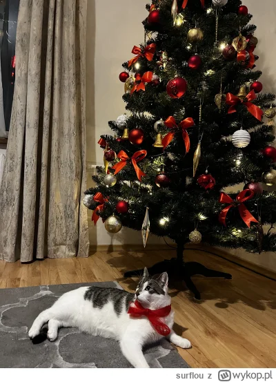 surflou - @surflou i teraz