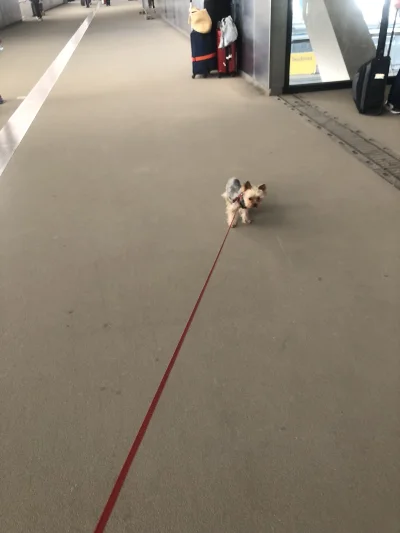 wykituje - Hej, po długim czasie jadę poznać chłopaka przyjaciółki. Jedyne, co o nim ...