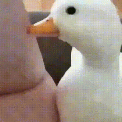 wfyokyga - Mizianko kaczu