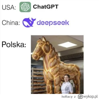hoRacy - #ai #chatgpt #deepseek #heheszki