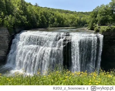 R2D2zSosnowca - @R2D2zSosnowca: Middle Falls chyba wygrywa zawody wśród wodospadów te...