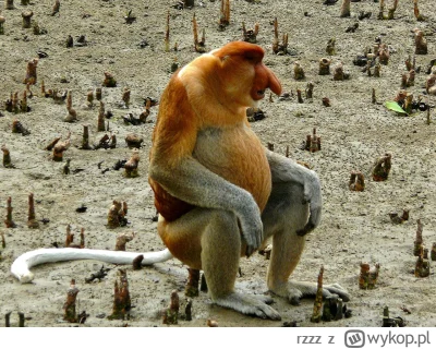 rzzz - Zagadka

Co to jest:
* jest obsługowe i zajmuje dużo twojego czasu, ewentualni...