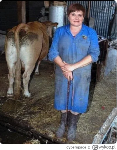 cyberspace - @aczutuse: tu masz takie 3/10