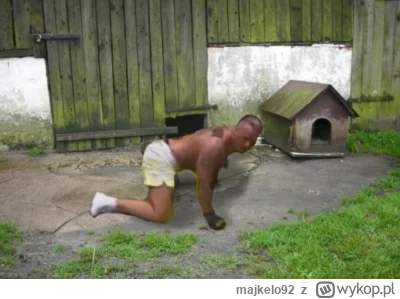 majkelo92 - @bizzi0801: a taki owczarek torunski tez sie do tego wlicza?