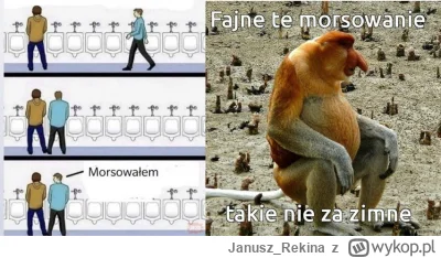 Janusz_Rekina - #harrypotter morsowałem